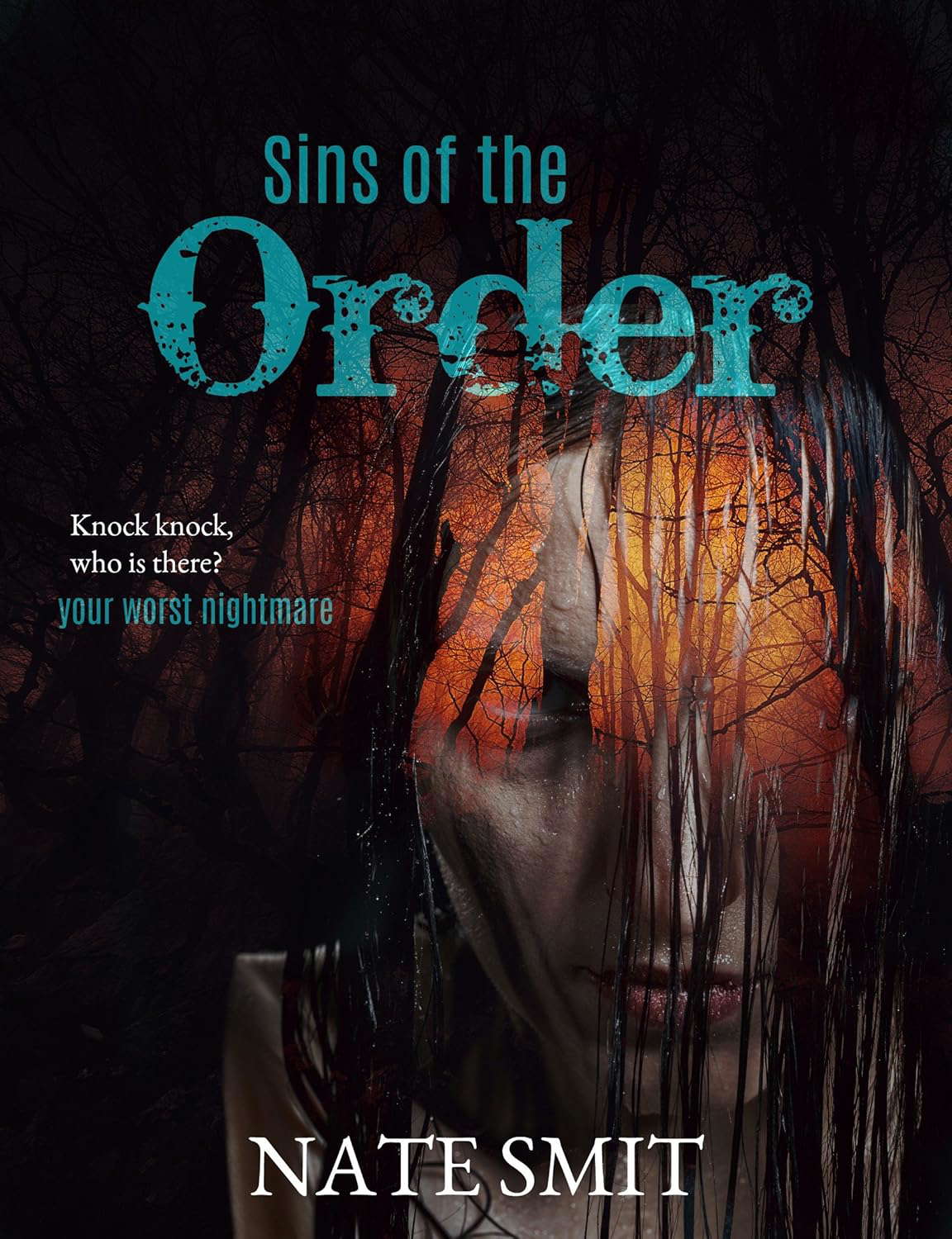 Sins of The Order poster
