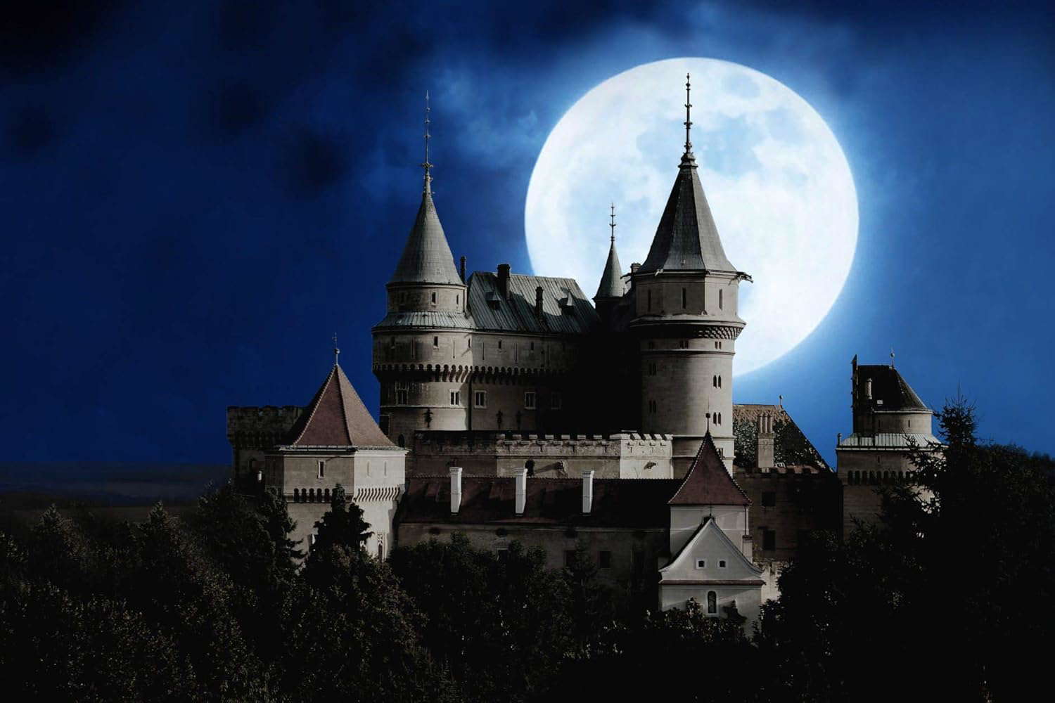 The Vampire's Castle (The Spruce Hollow Gang Thriller Series) poster