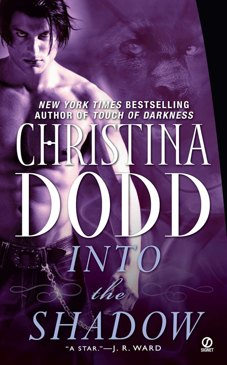 Into the Shadow: Darkness Chosen poster