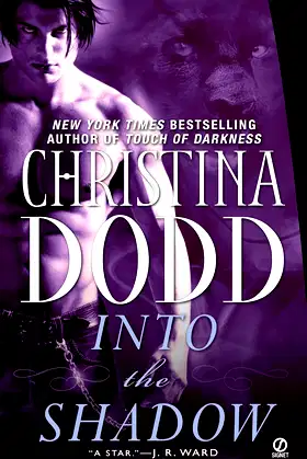 Into the Shadow: Darkness Chosen poster