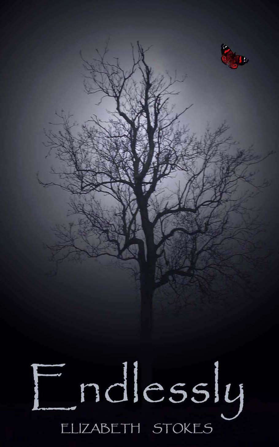 Endlessly poster
