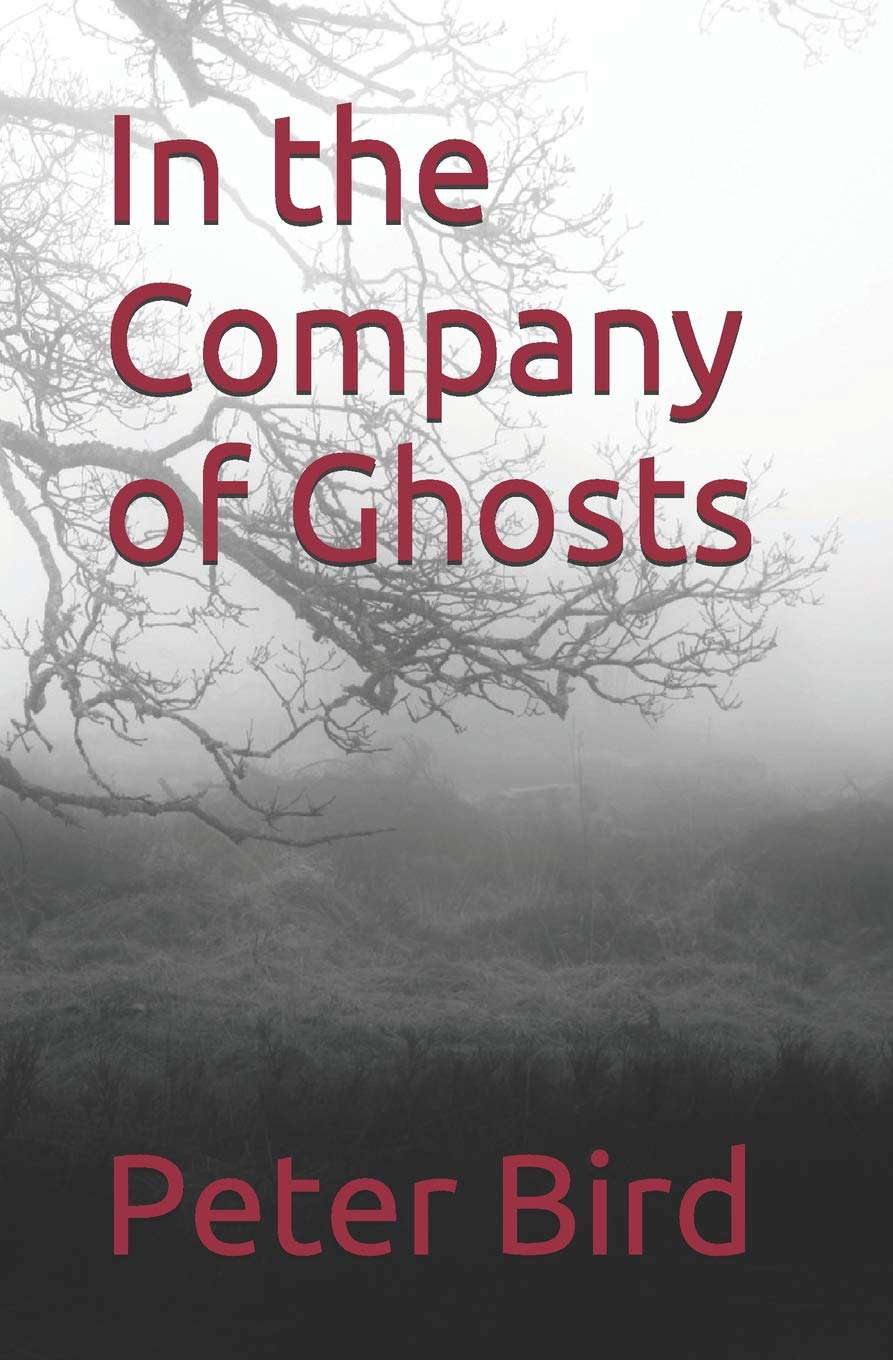 In the Company of Ghosts poster