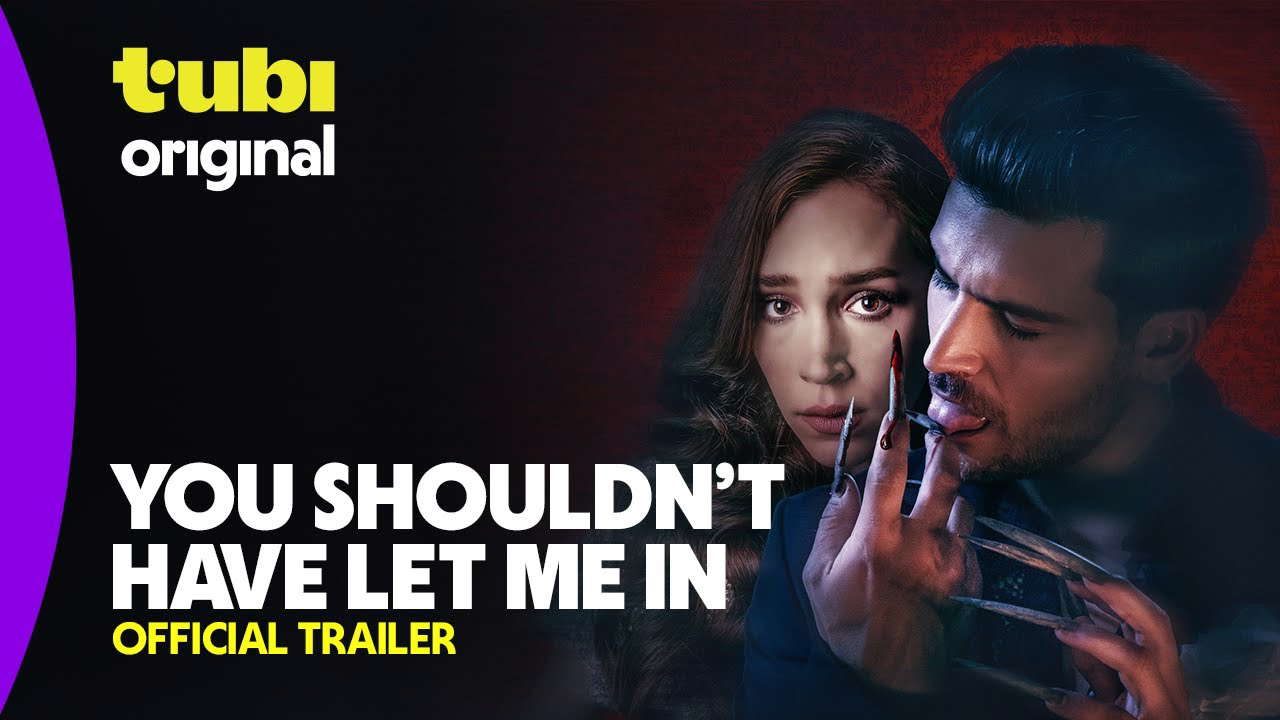Poster for You Shouldn't Have Let Me In