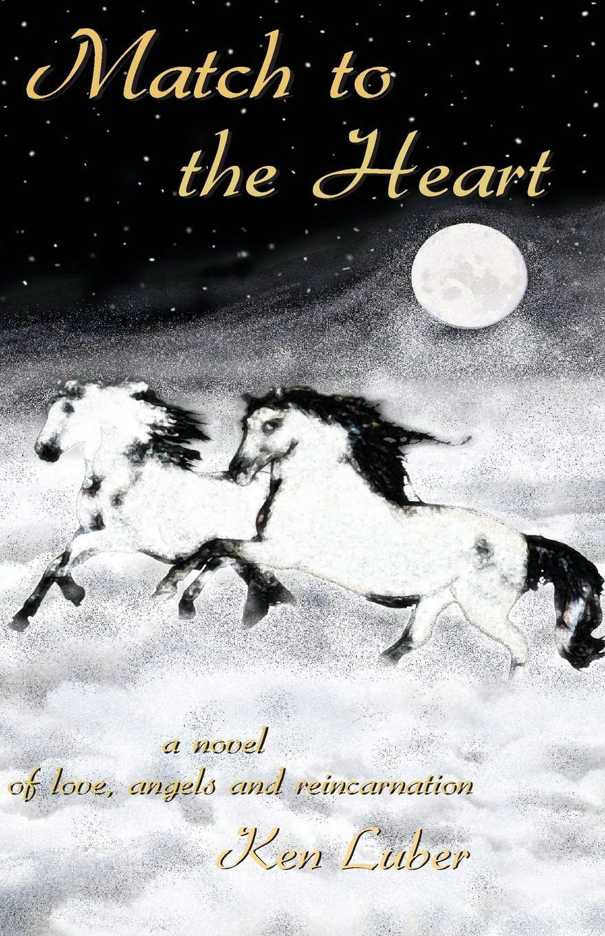Match to the Heart: A Novel of Love, Angels and Reincarnation poster