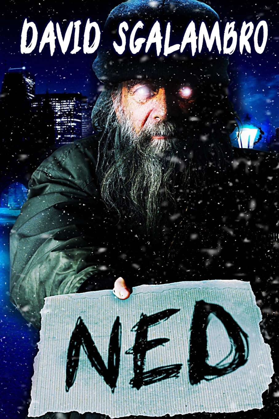 Ned poster