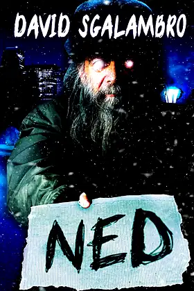 Ned poster