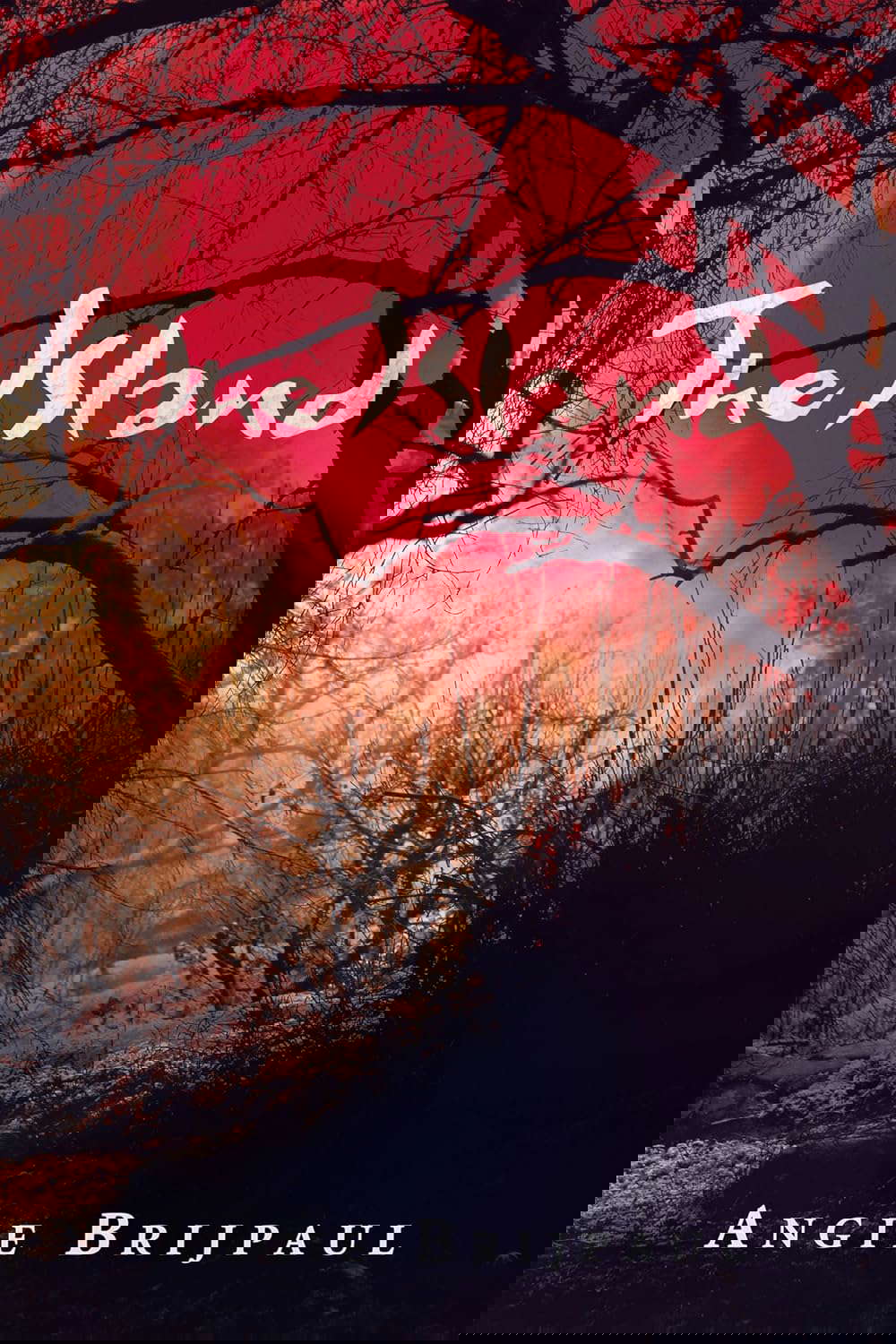 The Island poster