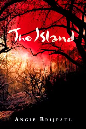 The Island poster