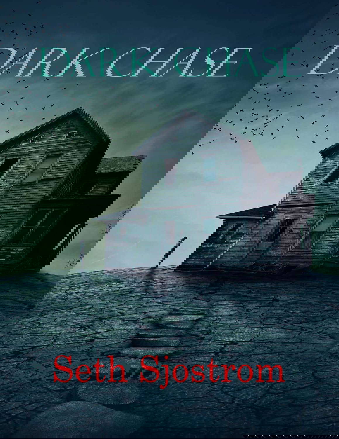 Dark Chase poster