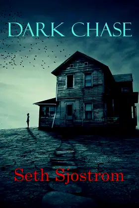 Dark Chase poster