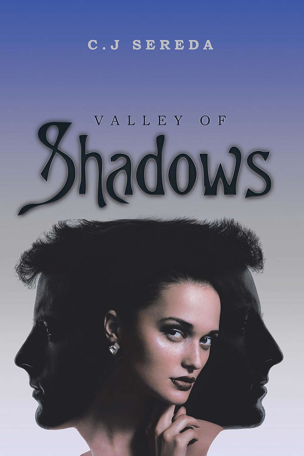 Valley of Shadows poster