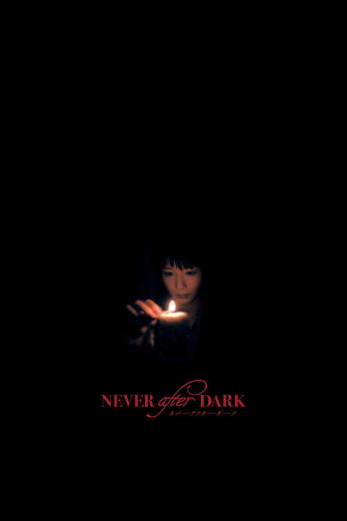 Never After Dark poster