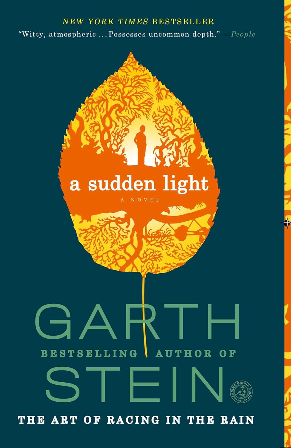 A Sudden Light: A Novel poster