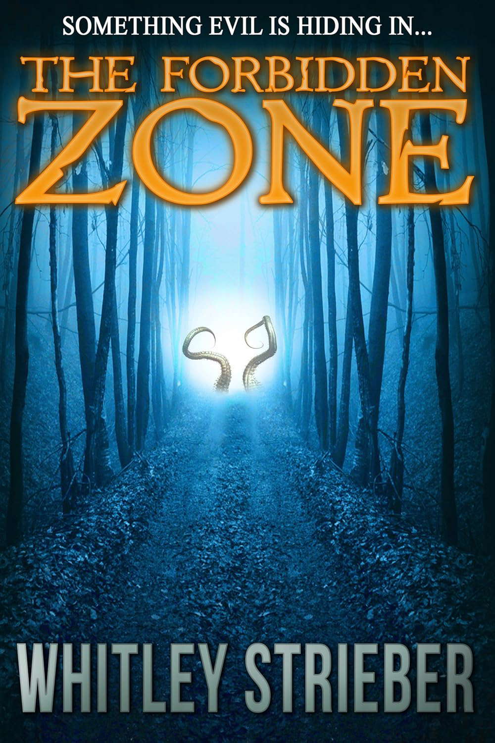 The Forbidden Zone poster