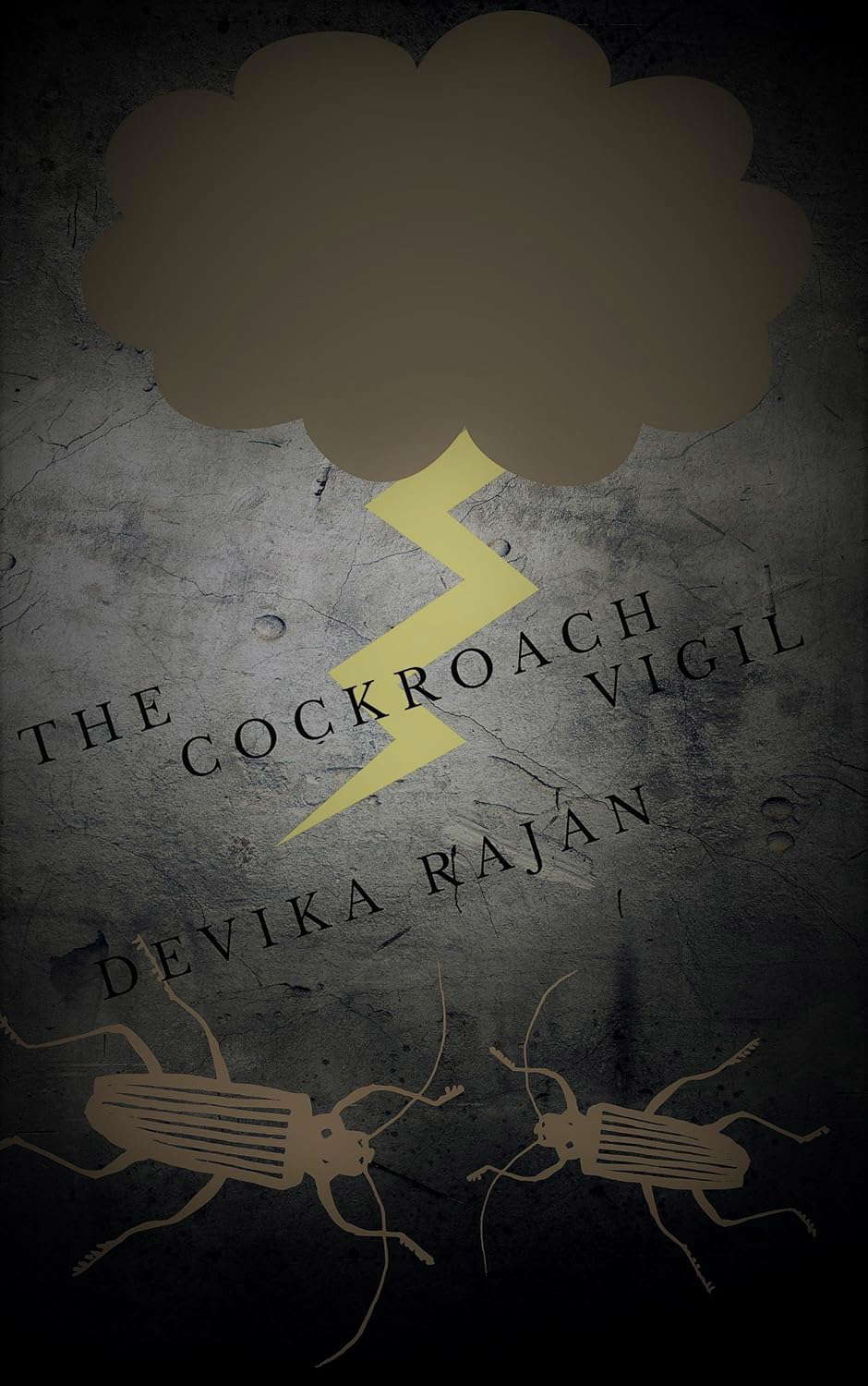 The Cockroach Vigil poster