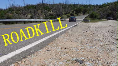 ROADKILL - Short Horror Film poster