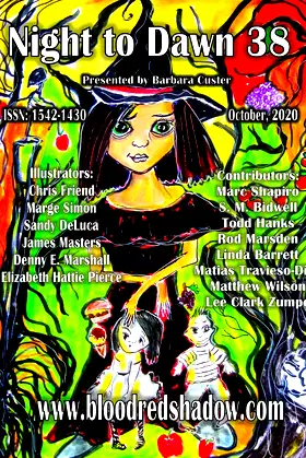 Night to Dawn 38 poster