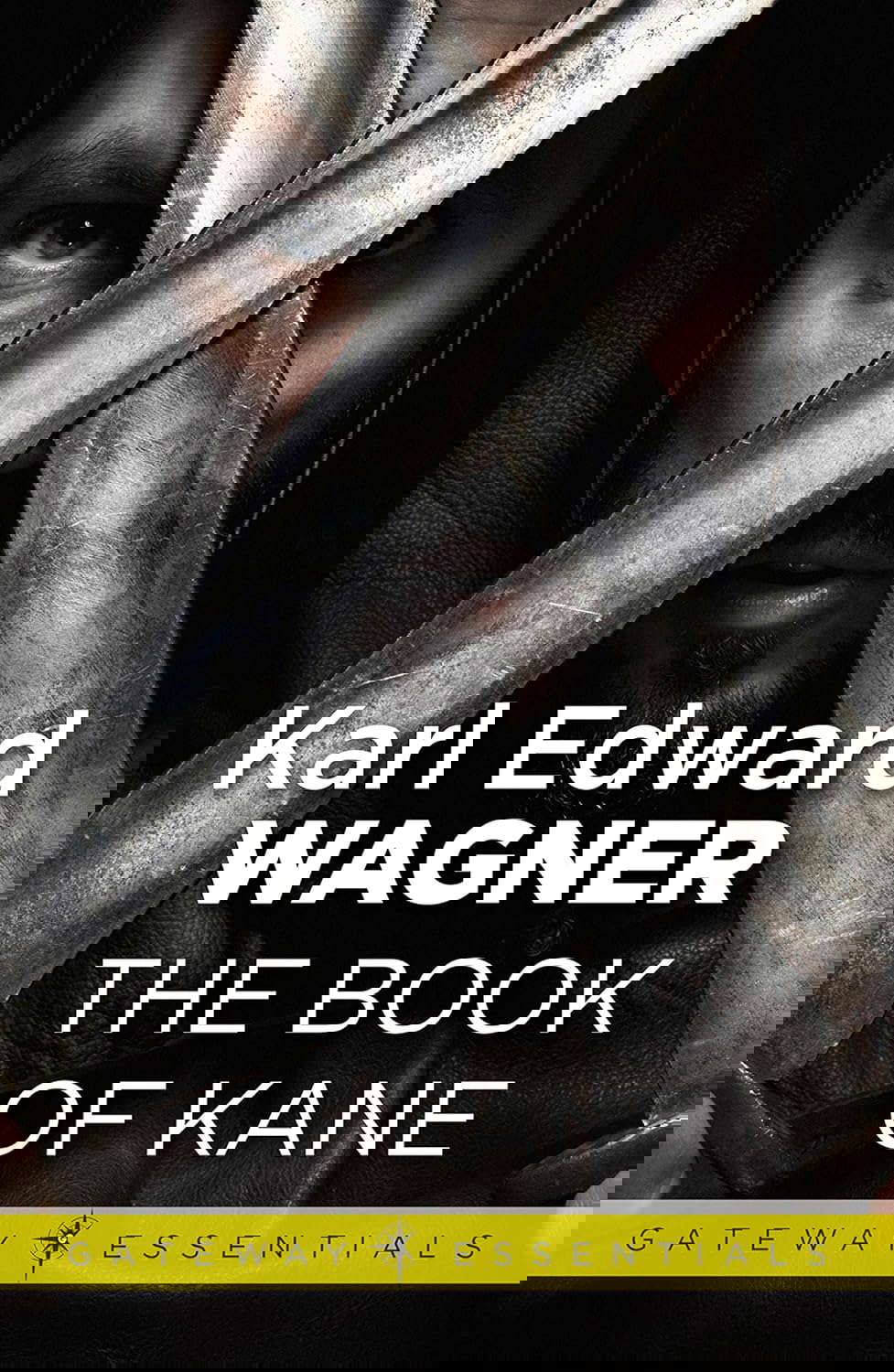 The Book of Kane poster