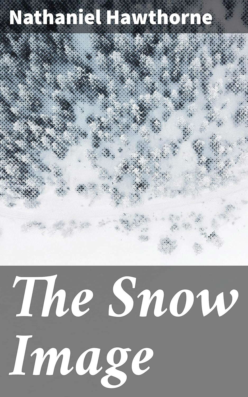 The Snow Image: Exploring the Depths of Dark Romanticism poster