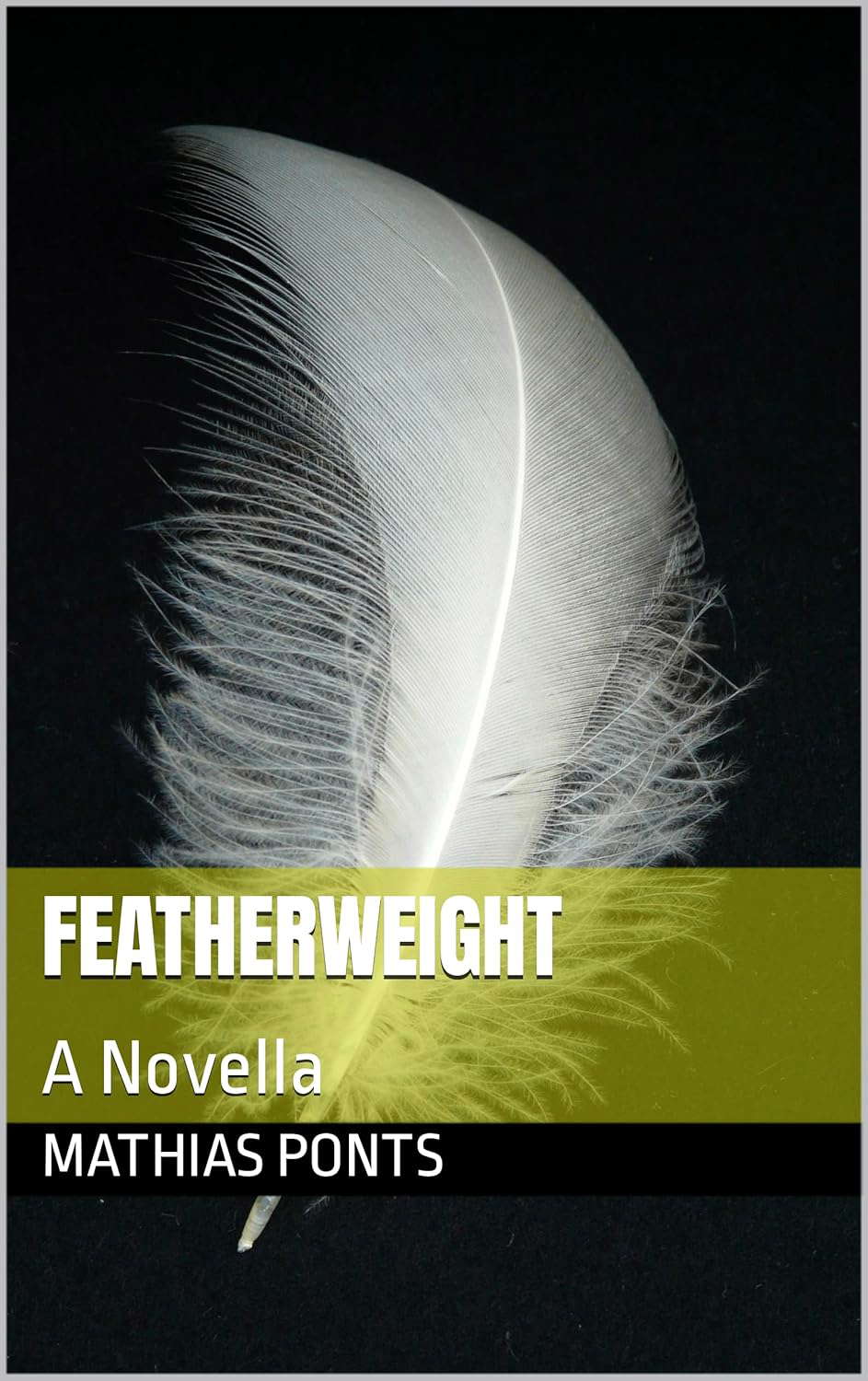 Featherweight: A Novella poster