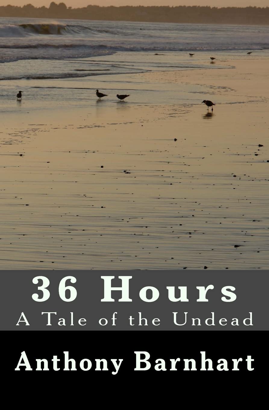 36 Hours: the 2nd Edition poster