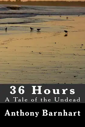 36 Hours: the 2nd Edition poster
