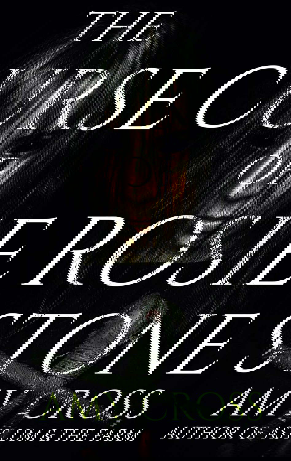 The Curse of Rosie Stone (The Ghost Story Collection) poster