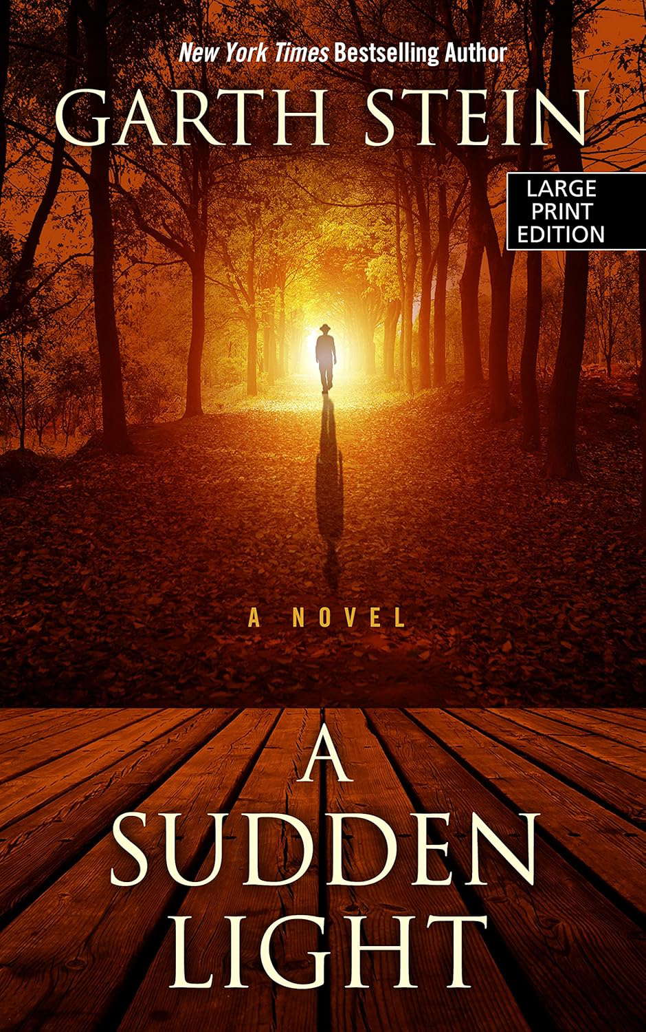 A Sudden Light (Wheeler Publishing Large Print Hardcover) poster