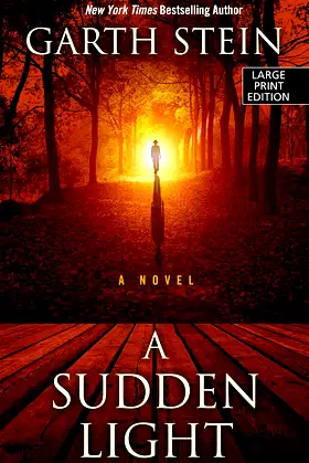 A Sudden Light (Wheeler Publishing Large Print Hardcover) poster