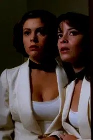 The Wedding from Hell poster
