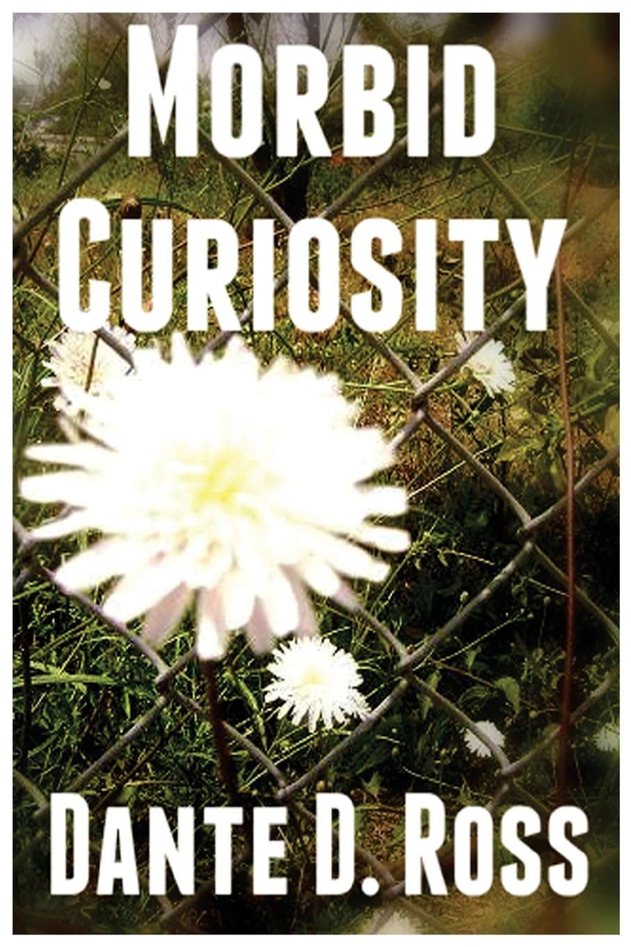 Morbid Curiosity poster