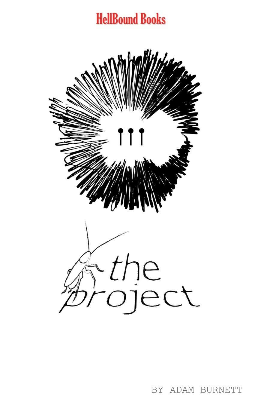 The Project poster