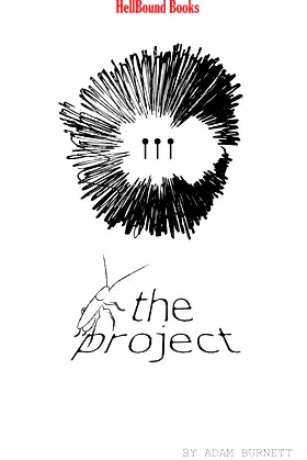 The Project poster