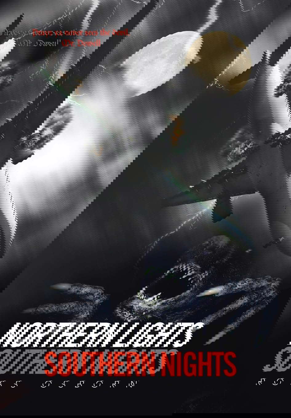 Northern Lights Southern Nights poster