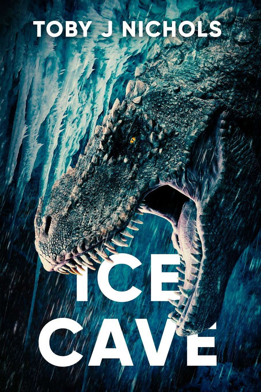 Ice Cave poster