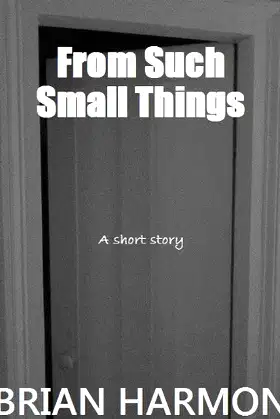From Such Small Things poster