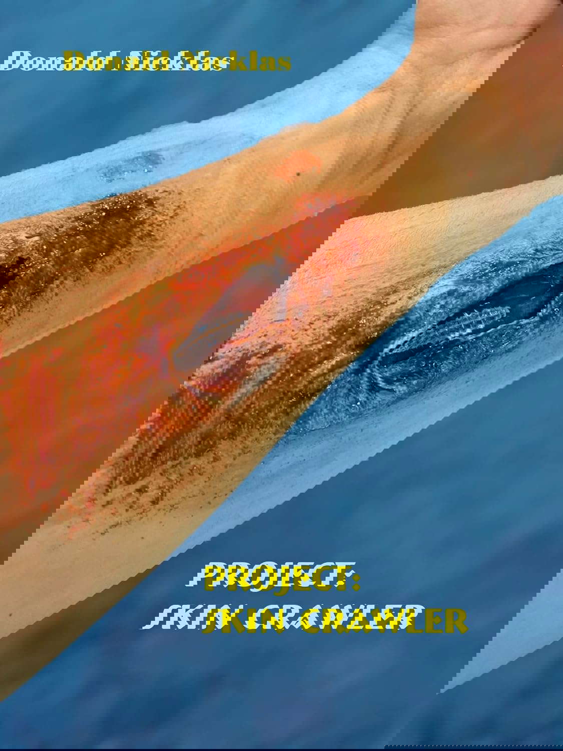 Project: Skin Crawler poster