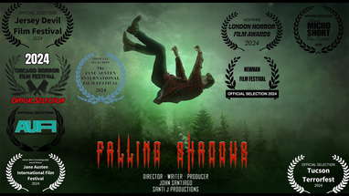 "Falling Shadows" poster