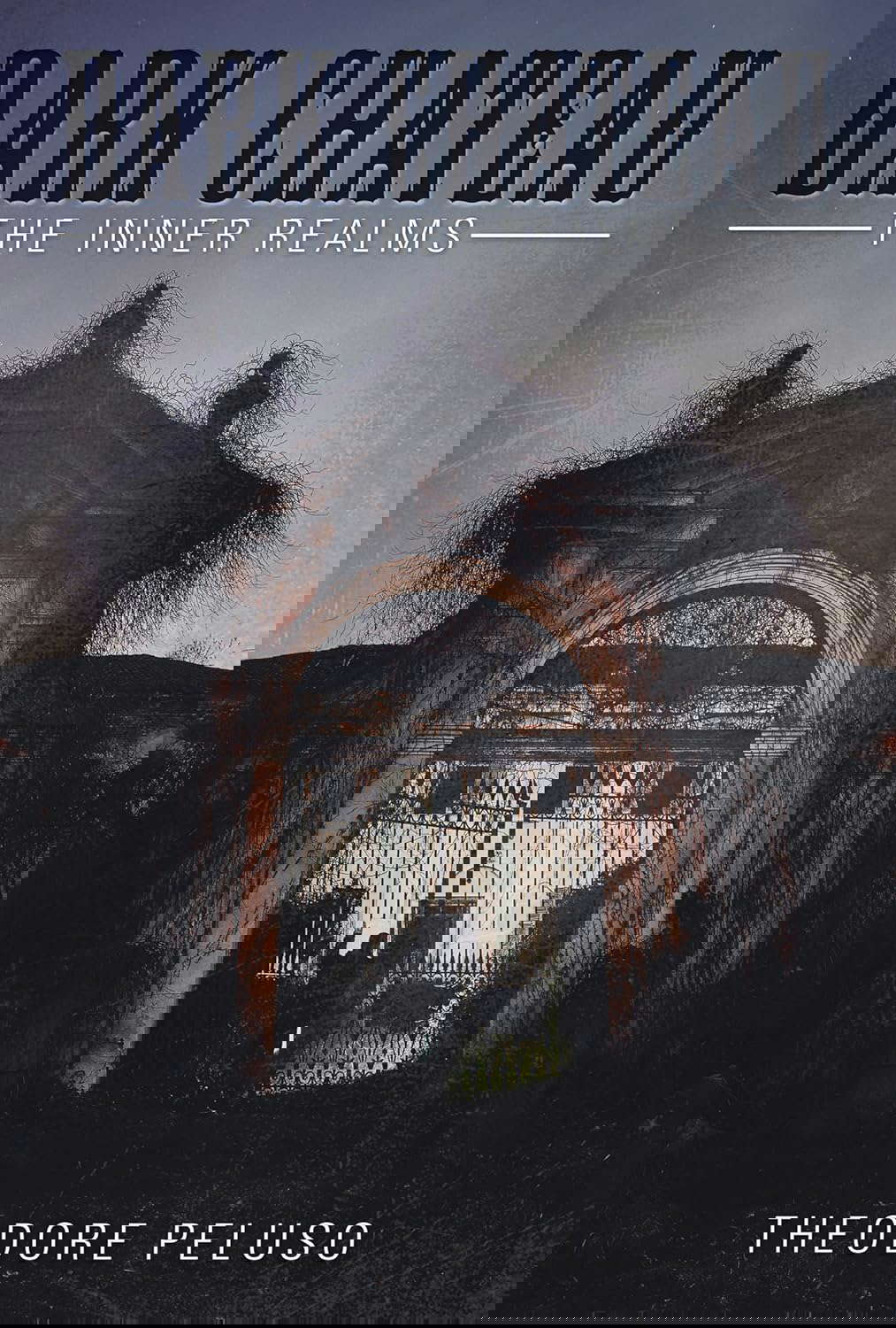 Dark Chateau: The Inner Realms poster