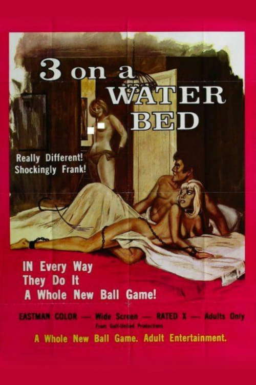 The Session poster