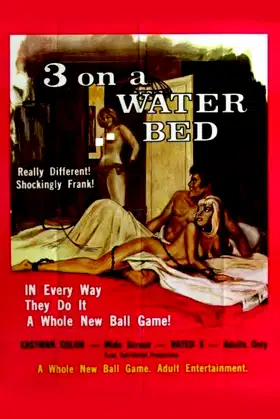 The Session poster