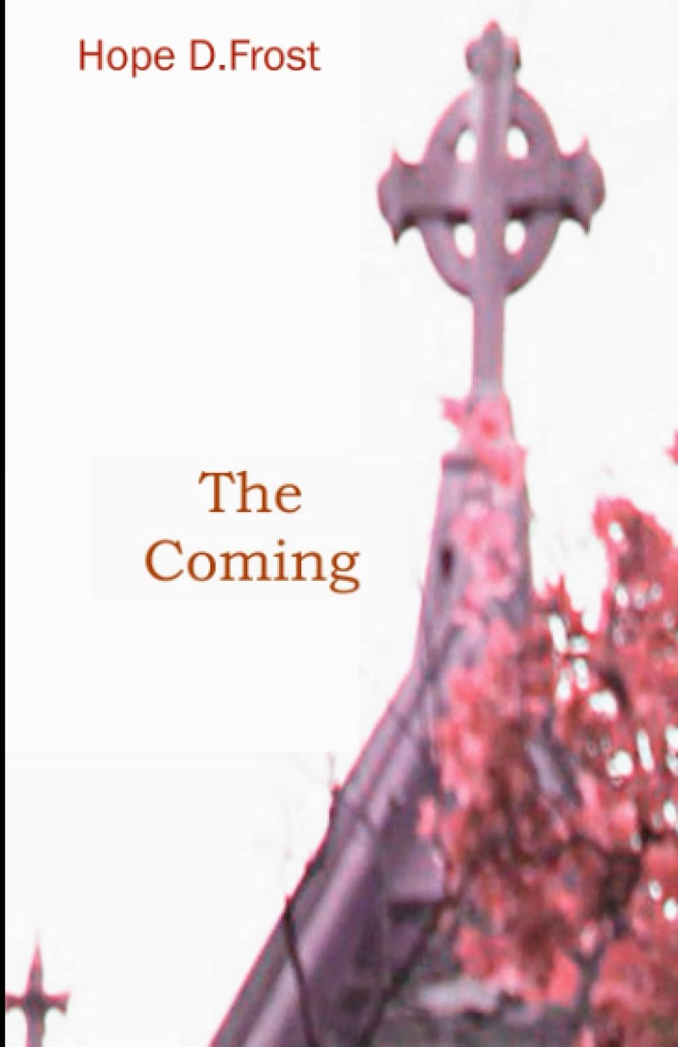 The Coming poster