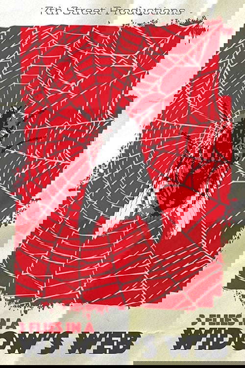 3 Flies in a Widow's Web poster
