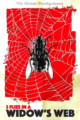 3 Flies in a Widow's Web poster