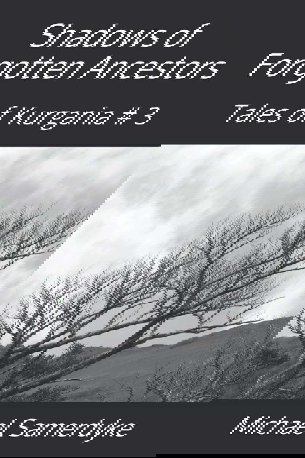 Shadows of Forgotten Ancestors: Tales of Kurgania # 3 poster