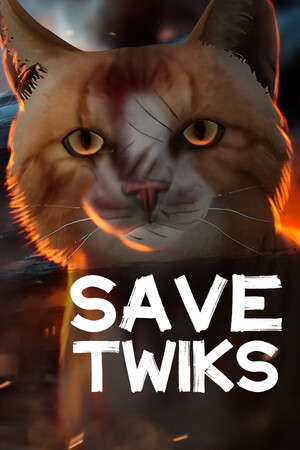 Save Twiks poster