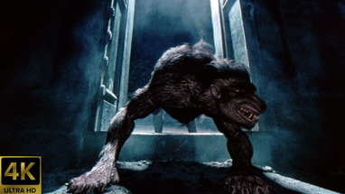 An American Werewolf in Paris (1997) [4K] [FTD-1308] poster
