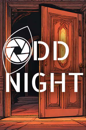 Odd Night poster
