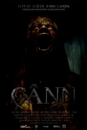 Cânn poster