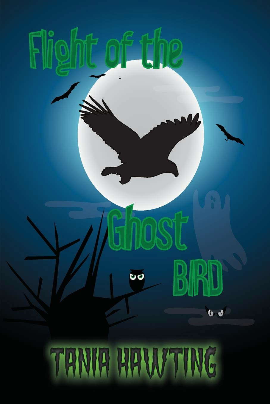 Flight of The Ghost Bird poster